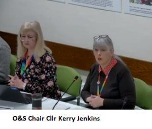 Cllr Kerry Jenkins speaking at the Education, Children and Young People O&S Committee